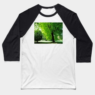 Boy sitting under the tree Baseball T-Shirt